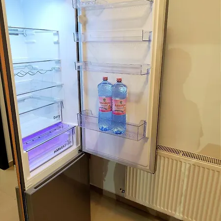 Studioul De Vis Μπρασόβ