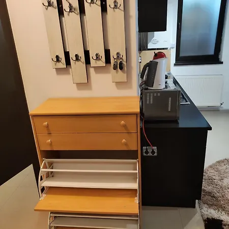 Studioul De Vis Μπρασόβ