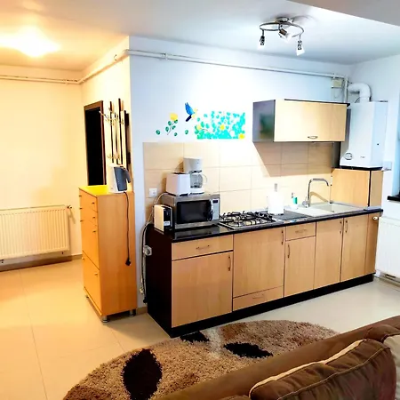 Studioul De Vis Apartment *