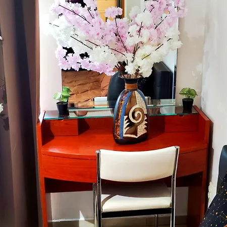 Apartment Studioul De Vis *