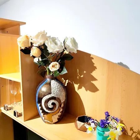 Apartment Studioul De Vis Brasov
