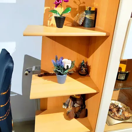 Studioul De Vis Apartment Brasov