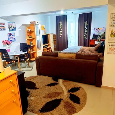Studioul De Vis Apartment *