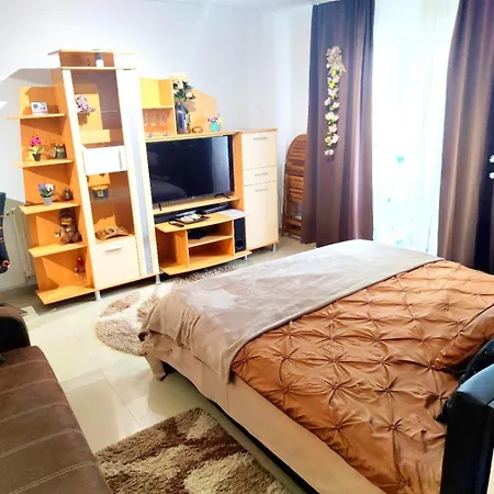 Studioul De Vis Apartment *
