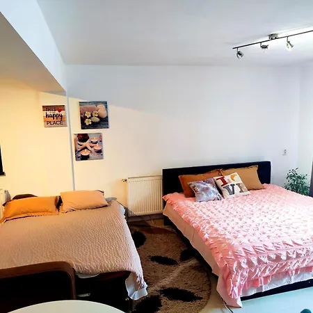 Apartment Studioul De Vis Brasov